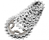 Campagnolo Kassetten 10 fach