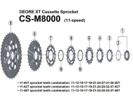 Ersatzteile Shimano XT 11 fach Kassetten CS-M8000