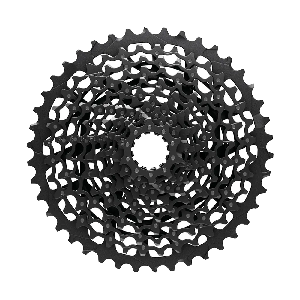 Sram XG 1175 Kassette Full Pin 10-42 Zähne 11 fach