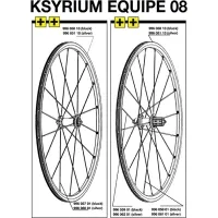 Mavic Ksyrium Equipe Speiche Hinterrad rechts 298,5 mm silber flach Modell 2008 ohne Nippel RESTBESTAND