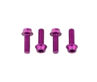 Wolf Tooth Aluminium Flaschenhalterschrauben Set - M5x15mm Zylinderkopf violett