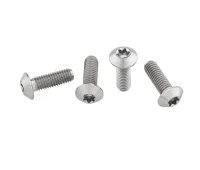 Wolf Tooth Titan Flaschenhalterschrauben Set - M5x15mm Linsenkopf silber - Restbestand